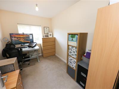Picture 23